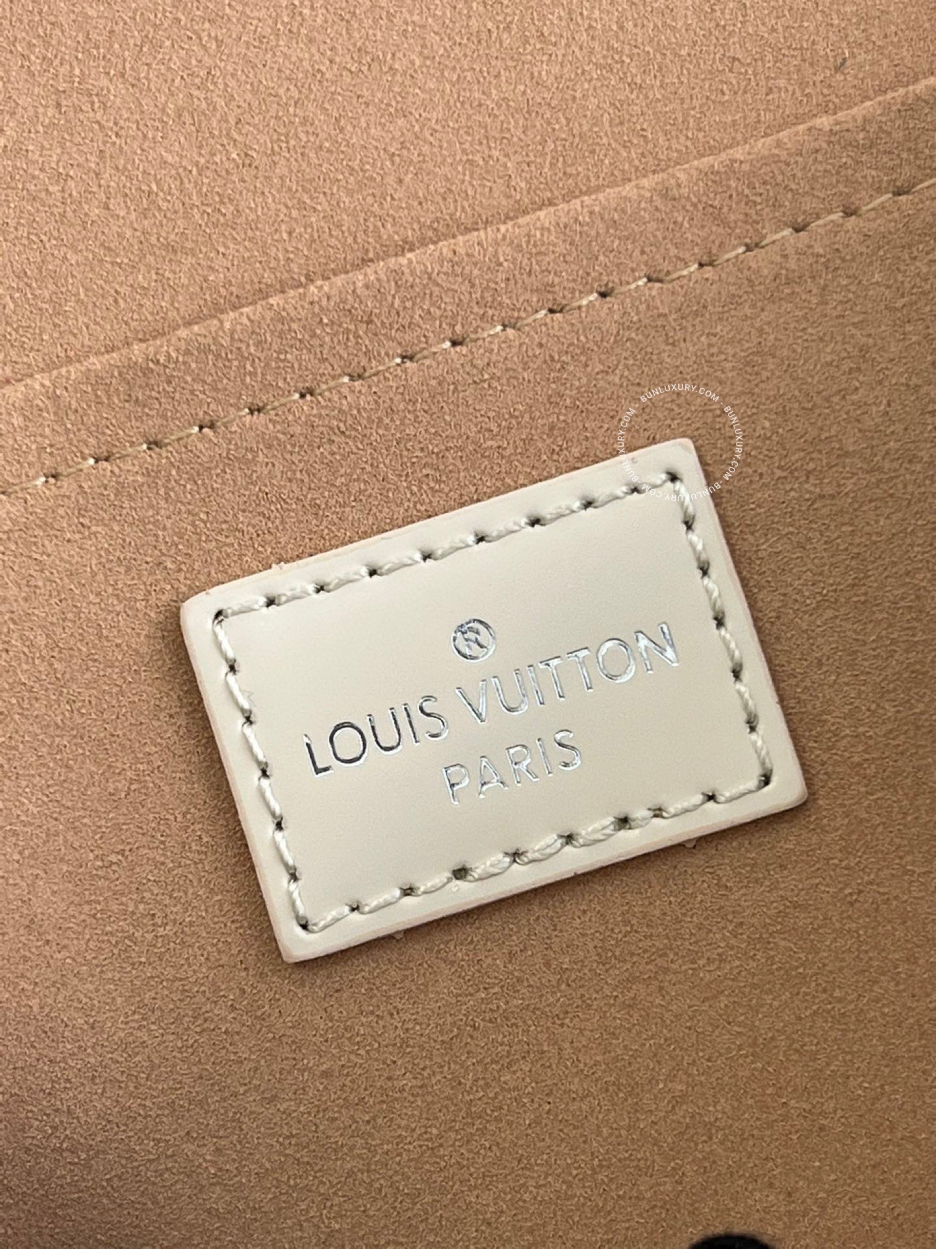 Túi Xách Louis Vuitton Cluny Mini M59134