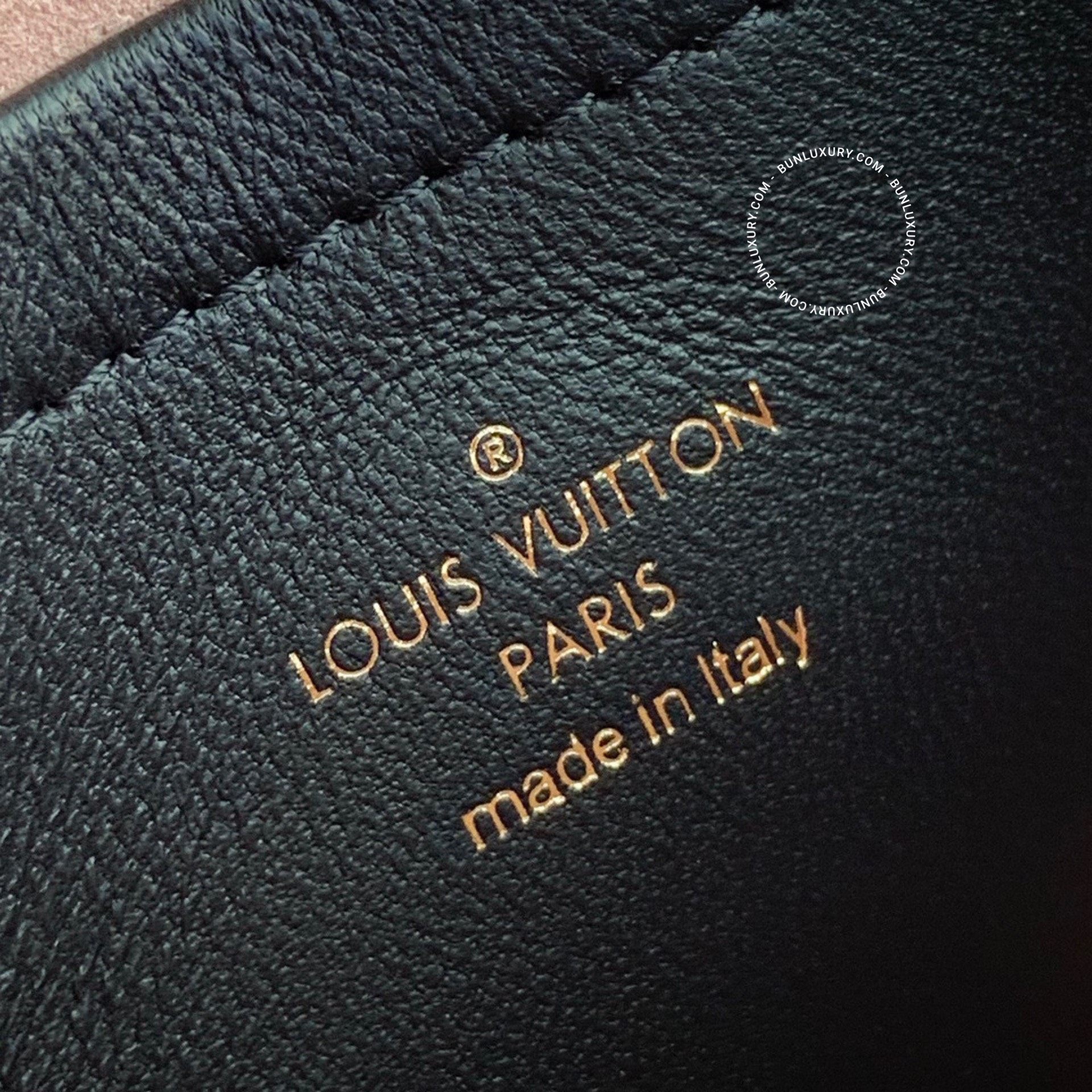 Túi xách Louis Vuitton Coussin Small Monogram Black M80742